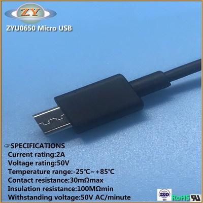 Micro SR Molding